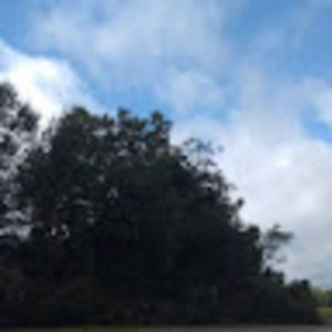 Meet your Posher, Janice